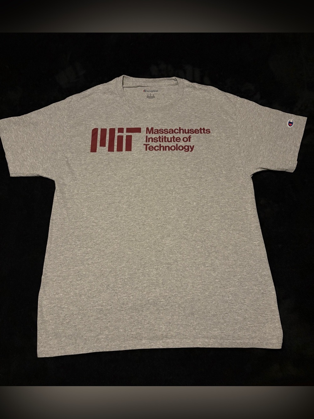 Massachusetts Institute of Technology MIT x Champion NWOT Gray tee large 29x20